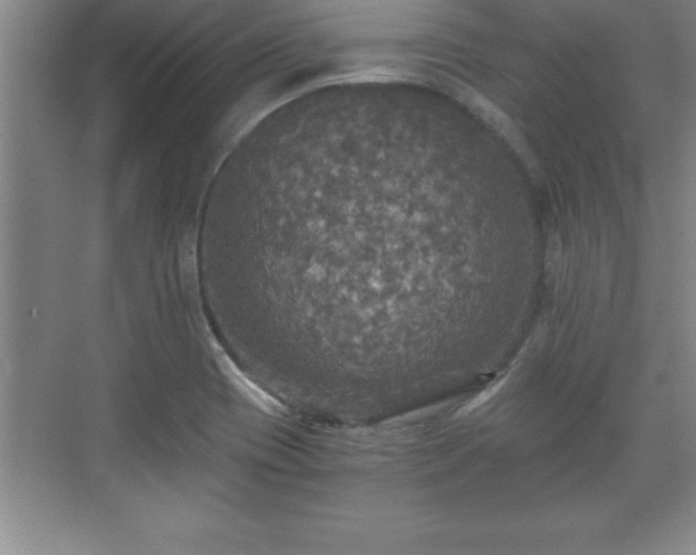 X0000071331417200606301549