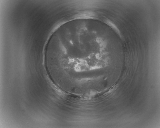 X0000071331419200606301549