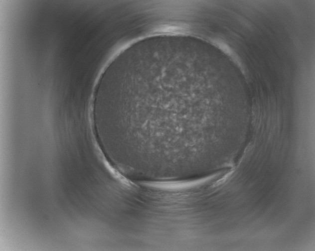 X0000071331421200606301549