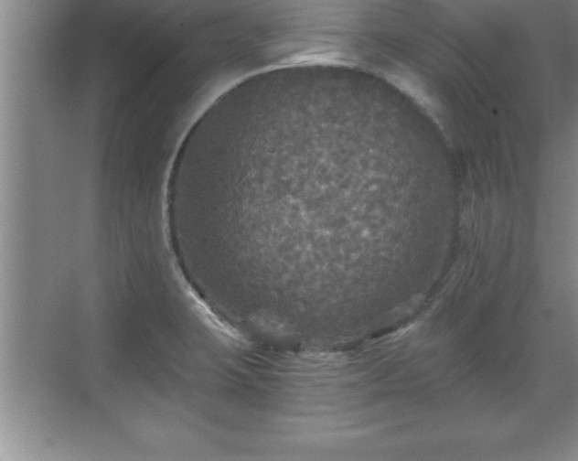 X0000071331423200606301549