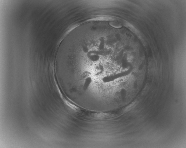 X0000071331425200606301549