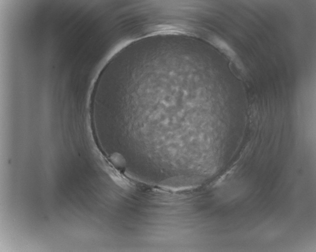 X0000071331427200606301549