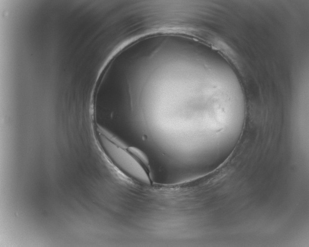 X0000071331428200606301549