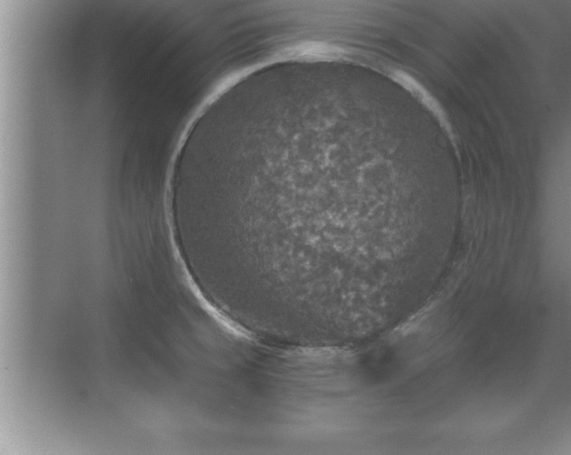 X0000071331429200606301549