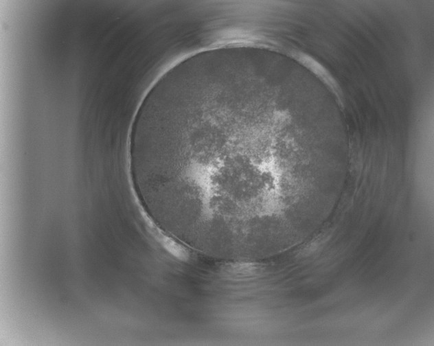 X0000071331431200606301549