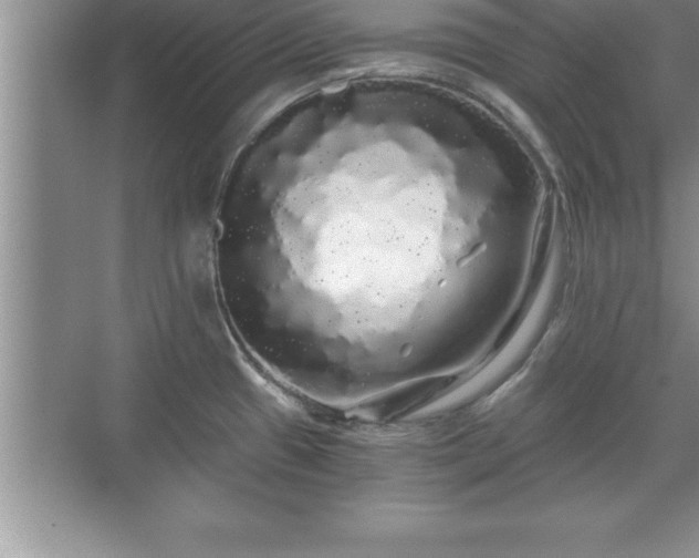 X0000071331433200606301549