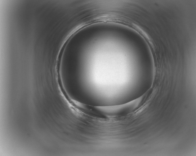 X0000071331434200606301549