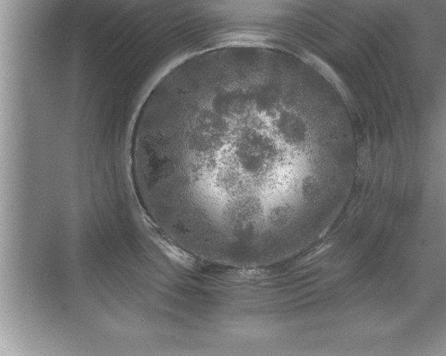 X0000071331435200606301549