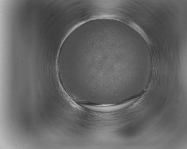 X0000071331436200606301549