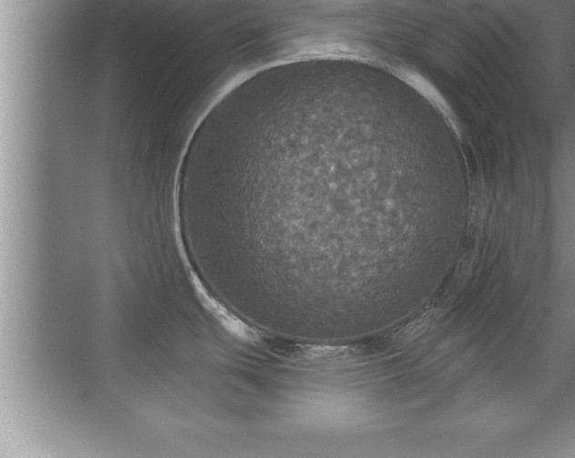 X0000071331439200606301549