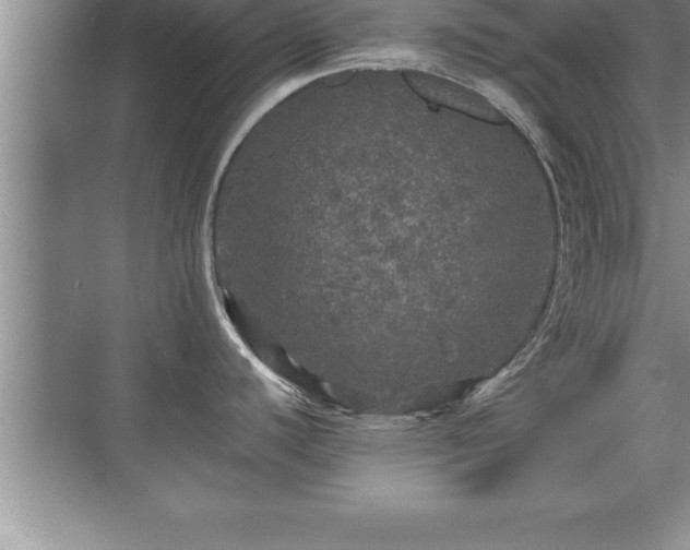 X0000071331440200606301549