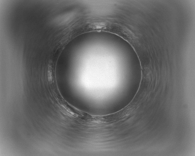 X0000071331442200606301548