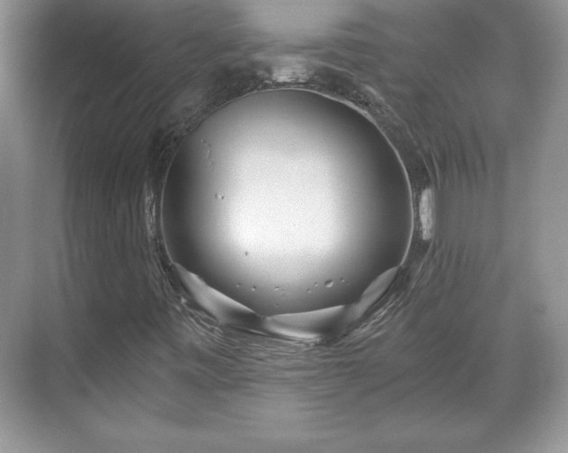 X0000071331443200606301548