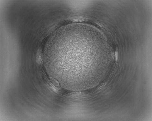 X0000071331444200606301548