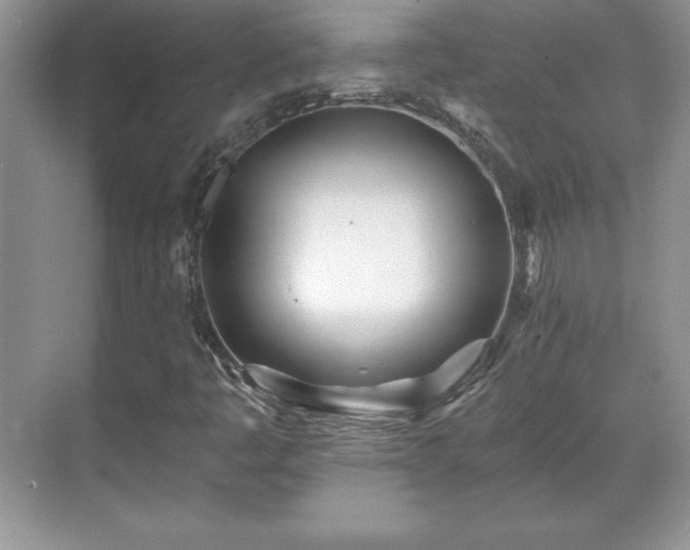 X0000071331445200606301548