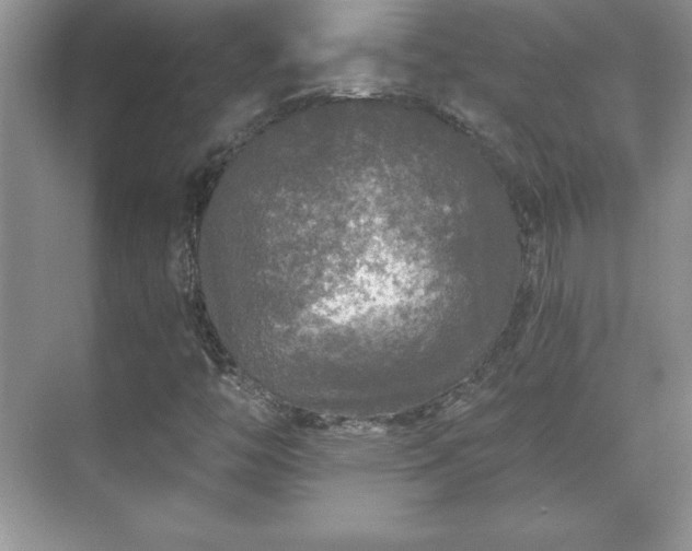 X0000071331446200606301548