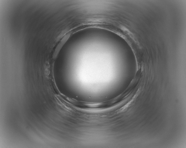 X0000071331449200606301548