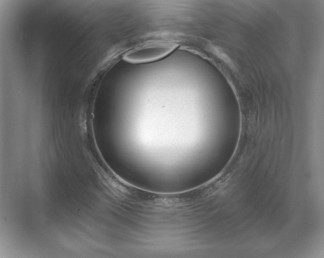 X0000071331451200606301548