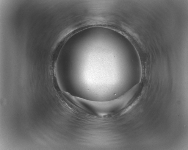 X0000071331453200606301548