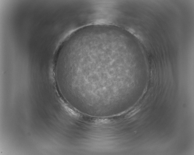 X0000071331454200606301548