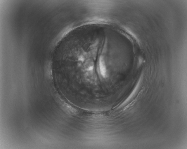 X0000071331455200606301548