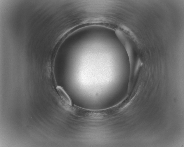 X0000071331457200606301548