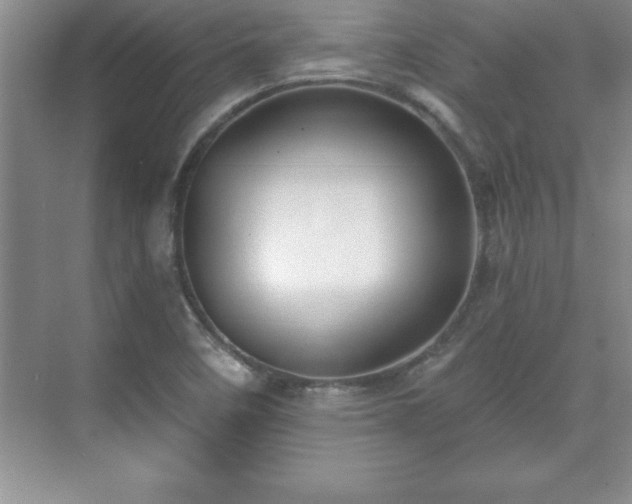 X0000071331458200606301548