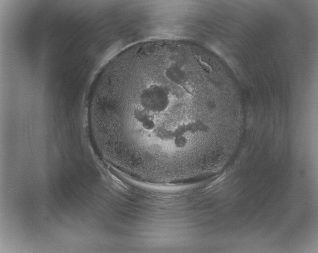 X0000071331459200606301548