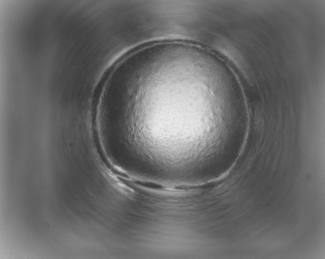 X0000071331460200606301548