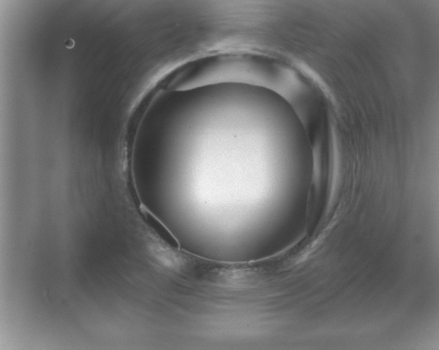 X0000071331461200606301548