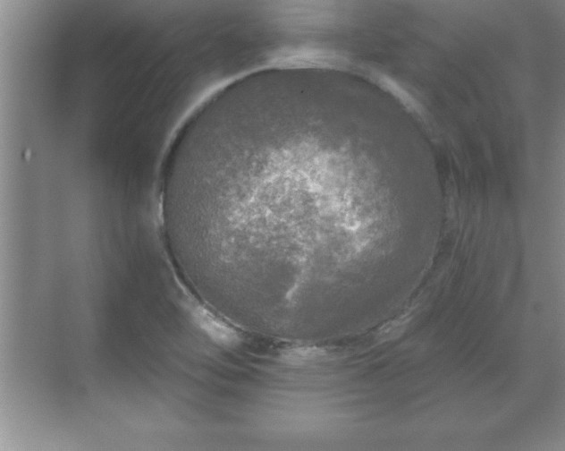 X0000071331462200606301548