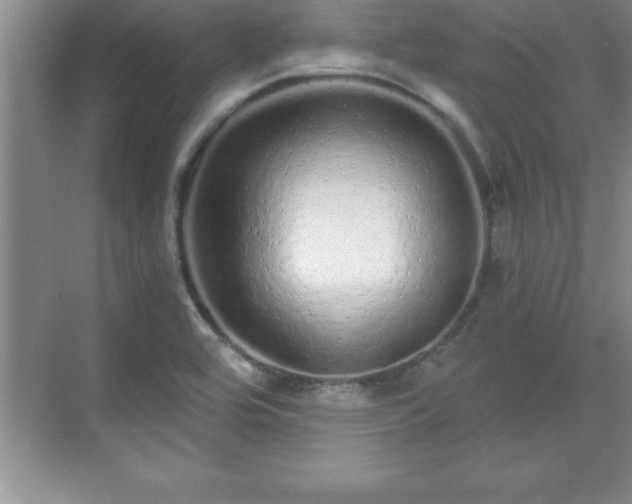 X0000071331464200606301548