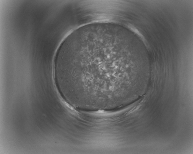 X0000071331467200606301548