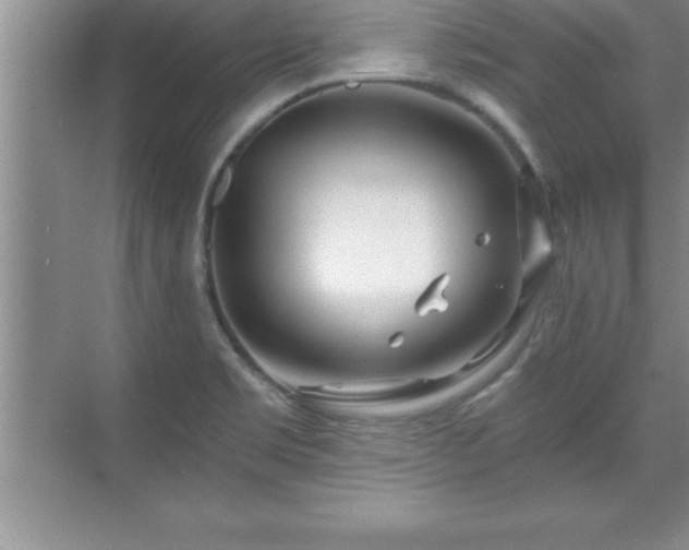 X0000071331469200606301548