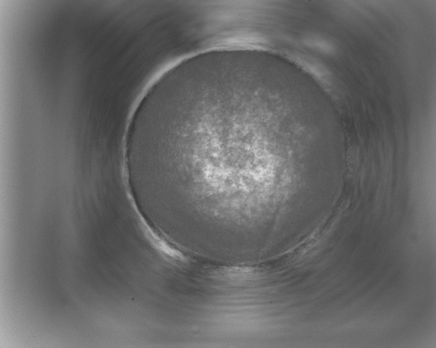 X0000071331470200606301548