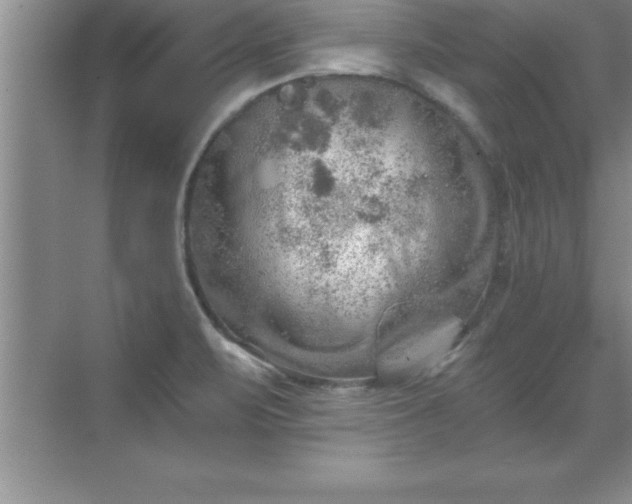 X0000071331471200606301548