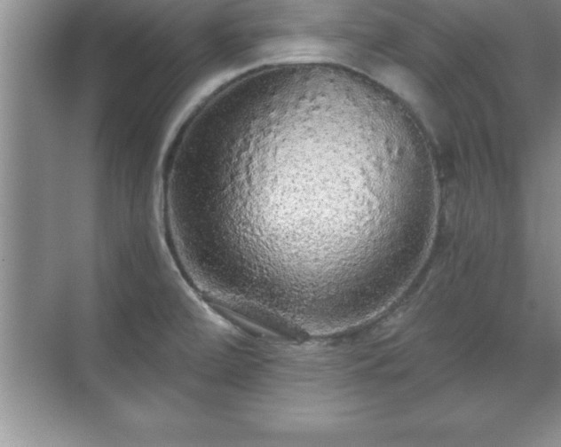 X0000071331472200606301548