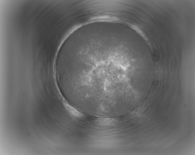 X0000071331474200606301548