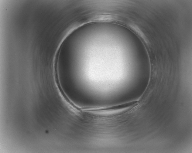 X0000071331475200606301548