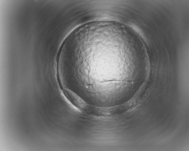 X0000071331476200606301548