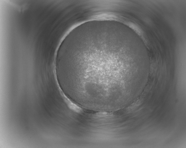 X0000071331478200606301548