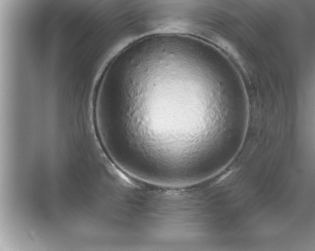 X0000071331480200606301548