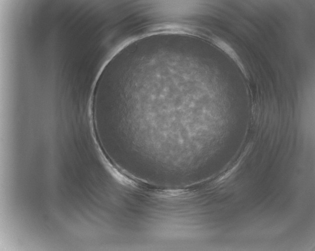 X0000071331482200606301548