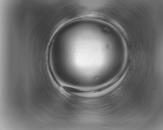 X0000071331483200606301548