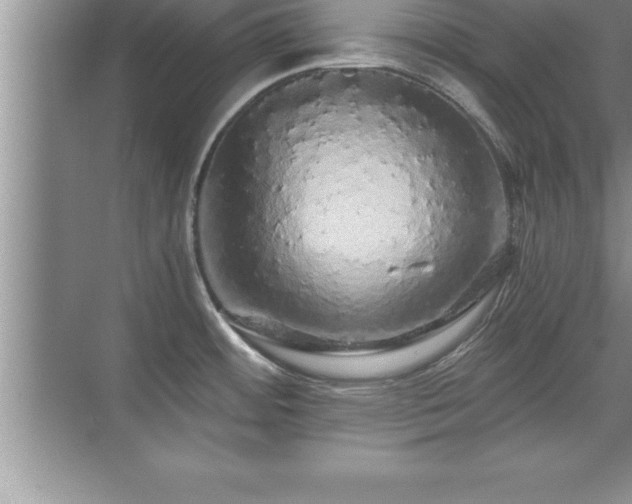 X0000071331484200606301548