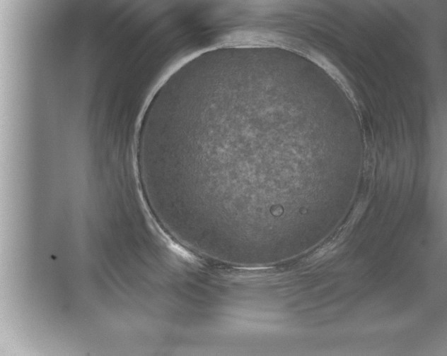 X0000071331486200606301548