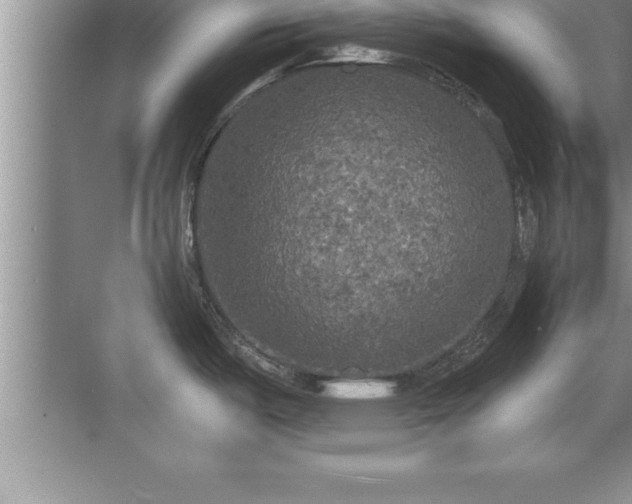 X0000071331487200606301548