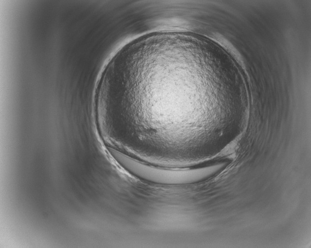 X0000071331488200606301548