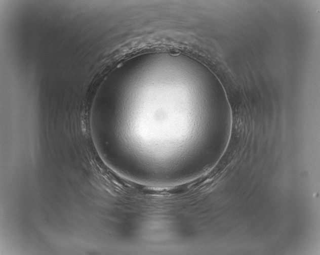 X0000071331490200606301547