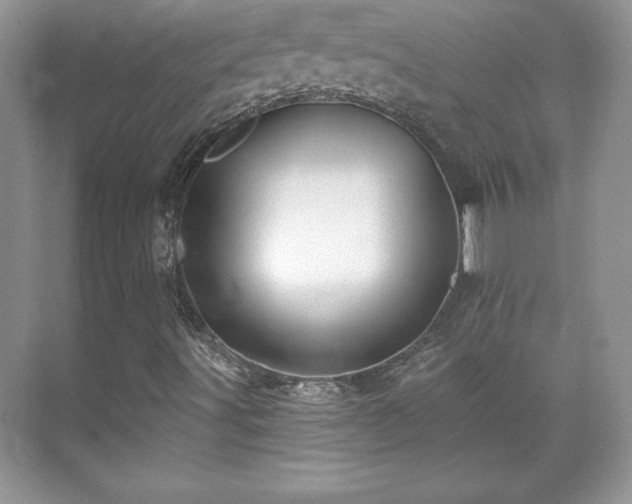 X0000071331491200606301547